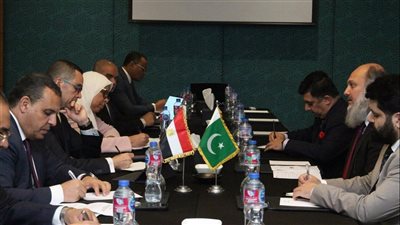 وزير الاستثمار يبحث مع نظيره الباكستاني تعزيز العلاقات الاقتصادية بين البلدين