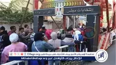 عاجل- الجريدة الرسمية تصدر قرار إعادة انتخابات الدوائر الملغاة بمجلس النواب 2025