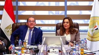 وزيرة التنمية المحلية والقائم بأعمال وزير البيئة ووزير المالية يبحثان عددًا من الملفات المشتركة