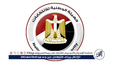 الهيئة الوطنية تعلن الجدول الزمني الكامل لجولة الإعادة بالمرحلة الثانية من انتخابات مجلس النواب 2025