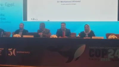 منال عوض تؤكد: مصر تدعو دول المتوسط الإهتمام بقضايا الحوكمة والرصد لاتفاقية برشلونة 