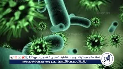 لم يتم رصده في مصر.. طرق انتشار فيروس ماربورج وسبل الوقاية منه