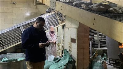 محافظ الدقهلية: تحرير 18محضرا في حملة رقابية وتفتيشية على 25 مخبز 