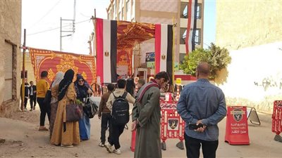 إقبال ملحوظ في دوائر البحيرة.. انتظام العملية الانتخابية بأبوحمص وإدكو