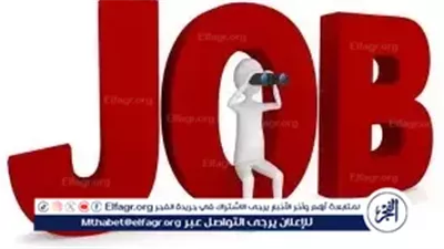 وزارة العمل توفر 360 فرصة عمل جديدة بشركة للصناعات الغذائية في الجيزة