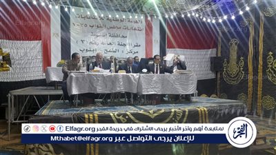 بدء الحصر العددى باللجنة العامة للدائرة الثالثة فى إعادة انتخابات مجلس النواب بأسيوط 