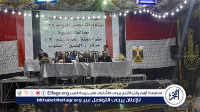 الفجر تنشر نتيجة الحصر العددى لإعادة انتخابات مجلس النواب بالدائرة الثالثة بأسيوط 