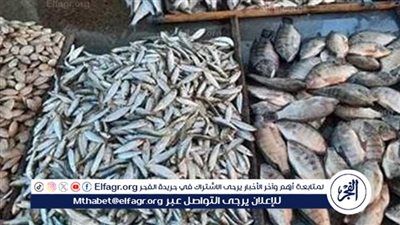 الأحد 7 ديسمبر 2025.. استقرار نسبي في أسعار الأسماك والجمبري في محافطه اسوان