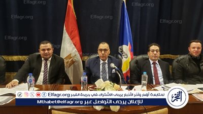 انتخابات مجلس النواب 2025.. الحصر العددي للدوائر الملغاة في محافظة البحيرة