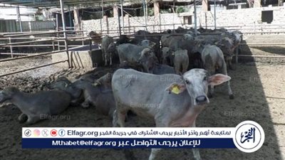 عاجل- رئيس الوزراء يتفقد الوحدة البيطرية بقرية 