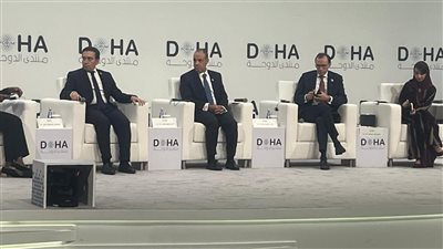 وزير الخارجية يشارك في جلسة بشأن إعادة تقييم المسؤوليات العالمية ومسارات السلام في غزة