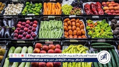 اسعار الخضروات اليوم الإثنين 8 ديسمبر 2025 فى أسواق المنيا