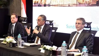 لقاء مصري–فرنسي موسّع لبحث تطوير الإجراءات وتعزيز الاستثمارات بين هيئة الاستثمار والجمارك والشركات الفرنسية