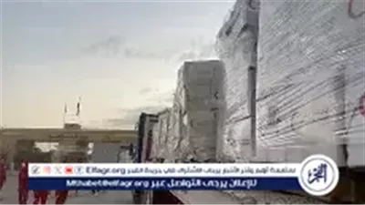 الهلال الأحمر المصرى يرسل 256 ألف سلة غذائية وملابس شتوية إلى غزة عبر قافلة 