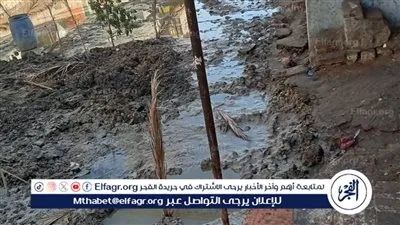 أزمة مياه تضرب قرية الروبيات بالفيوم.. والأهالي: “محدش بيسأل فينا”