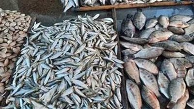 أسعار السمك اليوم الأربعاء 10-12-2025 في محافظة الأقصر