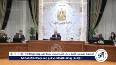 عاجل- الحكومة تعلن تنفيذ مشروعات كبرى في شمال وجنوب سيناء لتعزيز التنمية الزراعية والأمن الغذائي