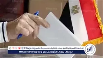 بالأرقام.. طريقة التصويت لاختيار مرشحي الفردي في انتخابات النواب بـ30 دائرة ملغاة