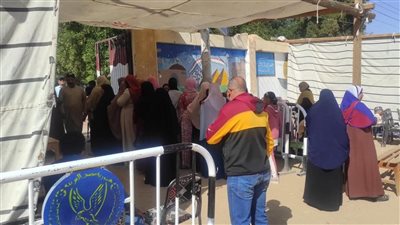 السيدات يتصدرن المشهد بلجان الداخلة بانتخابات الدوائر الملغاة