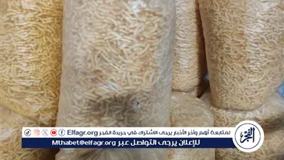 ضبط مصنع سناكس دون ترخيص وكميات هائلة من السلع المجهولة في حملة تموينية بمركز السنطة