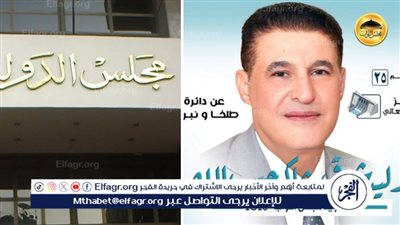 بسبب خطأ في الأرقام ..قبول طعن وليد شوقي شاكر وتصعيده للإعادة بدائرة طلخا ونبروه في الدقهلية