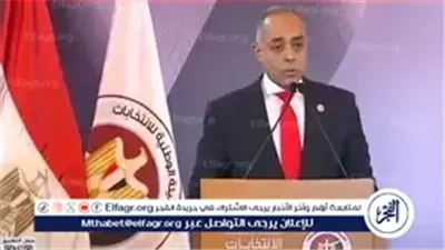 عاجل- القاضي أحمد بنداري: المشاركة الإيجابية في انتخابات النواب أفضل وسيلة لمواجهة المعلومات المغلوطة