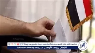 متابعة الانتخابات في الدوائر الملغاة.. رؤساء اللجان يطلعون الرأي العام على سير التصويت