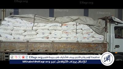 ضبط 13 طن دقيق مدعم ومخالفات في المخابز السياحية الحرة خلال حملة تموينية مكبرة