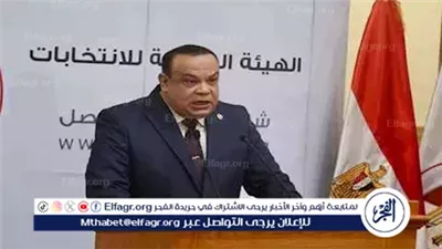 الوطنية للانتخابات تعلن إجراء الإعادة بين 4 مرشحين في دائرة أبشواي بالفيوم