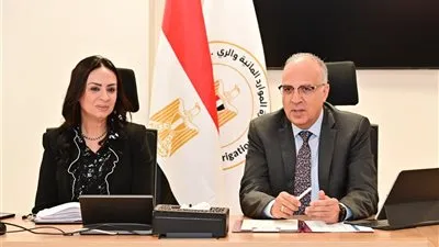 وزير الموارد المائية والري ووزيرة التضامن الاجتماعي يبحثان التعاون في تدوير ورد النيل لإنتاج مشغولات يدوية للأسر الأولى بالرعاية