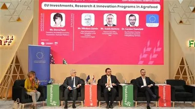  مباحثات لتدشين خطين شحن جديدين Ro-Ro بين مصر واليونان