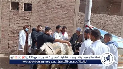 قافله طبيه بيطرية تعالج 350حيوانًا بقرية المحامده القبليه بسوهاج