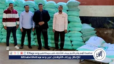 تكثيف الحملات التموينية بسوهاج وضبط مخالفات متنوعة في كافة الأنشطة