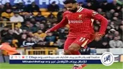 أنفيلد يشهد صدام القمة.. ليفربول يواجه برايتون في مباراة حاسمة بالبريميرليج