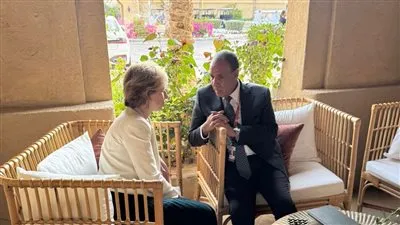 وزير الخارجية يلتقي مع مستشارة الرئيس الفرنسي لشئون الشرق الأوسط على هامش منتدى صير بنى ياس