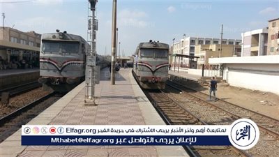 مصرع شاب إثر سقوطه من قطار عند محطة قرية الميمون ببني سويف