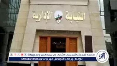 عاجل- النيابة الإدارية تبدأ غدًا استقبال طلبات التقديم لوظائف معاون نيابة دفعة 2024