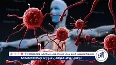 عاجل- ابتكار هندي يكشف أسرار نمو وانتشار الخلايا السرطانية عبر الذكاء الاصطناعي