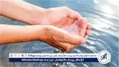 حكم الوضوء بماء المطر وفضيلته.. الإفتاء تجيب