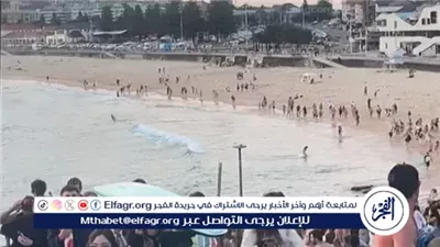 عضو التجمع اليساري الأسترالي: هجوم سيدني الأول من نوعه