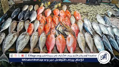 أسعار السمك اليوم الثلاثاء 16-12-2025 في محافظة الأقصر