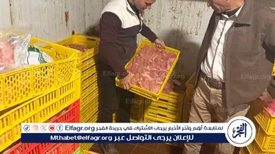 ضبط 3 أطنان دواجن مجهولة المصدر داخل مجزر غير مرخص بالمحلة الكبرى