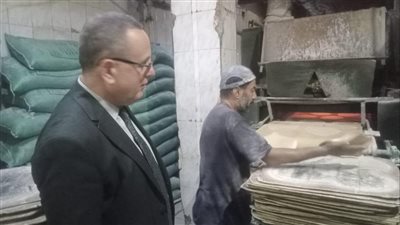 ضبط 9 أطنان و870 كجم سلع مجهولة المصدر وتحرير 90 مخالفة بالدقهلية 