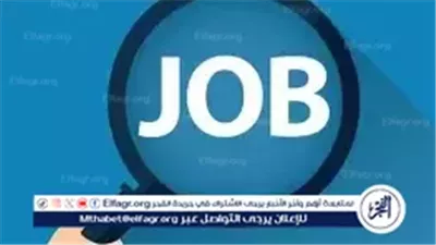 فنيون وعمال وبائعون.. 747 فرصة عمل جديدة في محافظة الجيزة