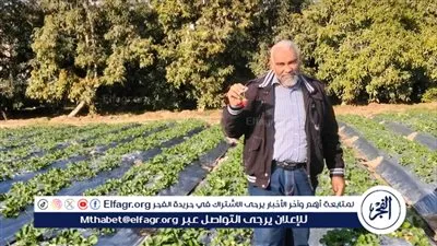 زراعة الإسماعيلية: مرور ميداني على محصول الفراولة ومتابعة صرف الأسمدة بالجمعيات الزراعية