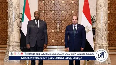 أبرز تصريحات السيسي خلال لقائه رئيس مجلس السيادة السوداني دعم كامل لوحدة السودان تنسيق لحماية الأمن المائي ورفض الإجراءات الأحادية