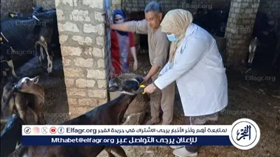 محافظ أسيوط: تحصين أكثر من 135 ألف رأس ماشية وزيارات ميدانية لـ5،121 منزلًا بالمحافظة 