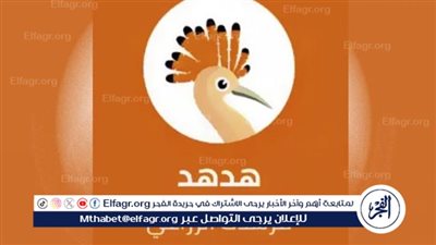 كيفية تربية العصافير في المنزل: دليل شامل للعناية والتربية