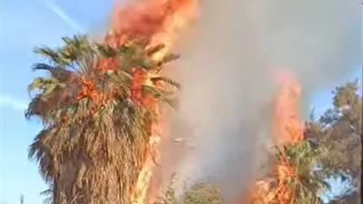 السيطرة على حريق محدود في حوش مدرسة مهجورة بشبين القناطر