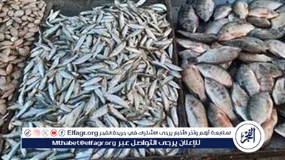 أسعار السمك اليوم الأحد 21-12-2025 في محافظة الأقصر